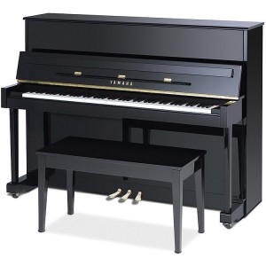HỌC ĐÀN PIANO TẠI NHÀ – QUẬN PHÚ NHUẬN