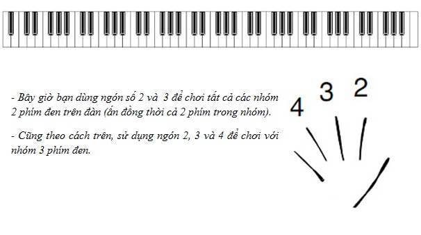 Hướng dẫn tự học đàn Piano tại nhà